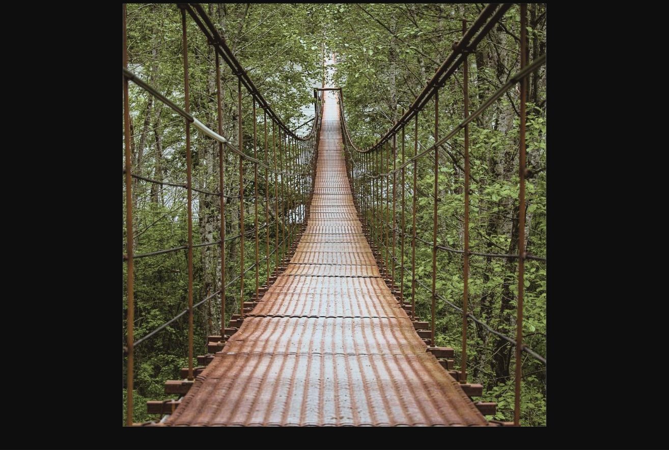 Hängebrücke im Wald